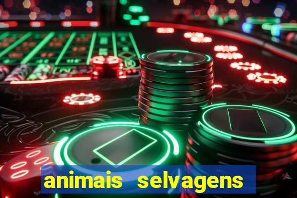 animais selvagens fotos e nomes